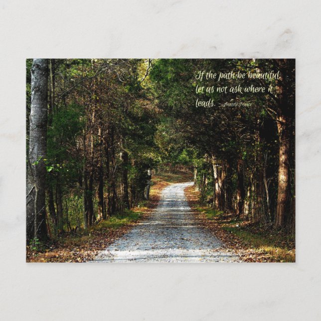 Cartão Postal Se o caminho for bonito... (Frente)