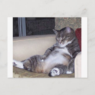 Cartão Postal Se precisar de calças ou sutiã...