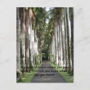 Cartão Postal Se você não sabe para onde vai...