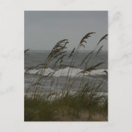 Cartão Postal Sea Breeze