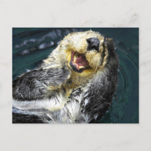 Cartão Postal Sea Otter