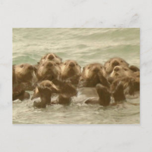Cartão Postal Sea Otters
