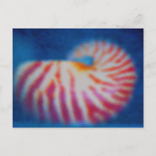 Cartão Postal Sea Shell