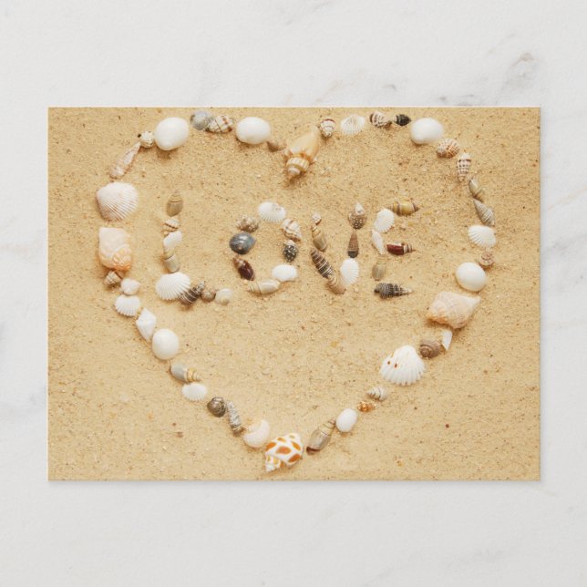 Cartão Postal Sea Shell Love Heart (Frente)