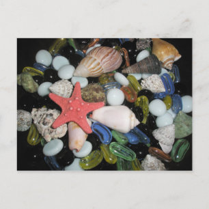 Cartão Postal Sea Shells and Rocks