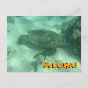 Cartão Postal Sea Turtle Aloha do Havaí Cartão-postal