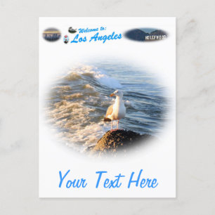 Cartão Postal Seagull