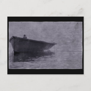 Cartão Postal Seagull Na Mist.