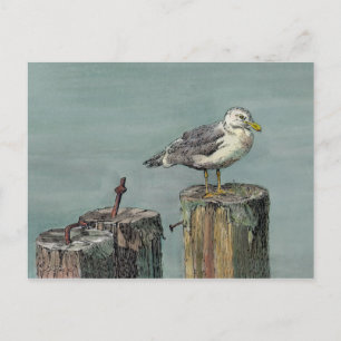 Cartão Postal SEAGULL na PILING por SHARON SHARPE