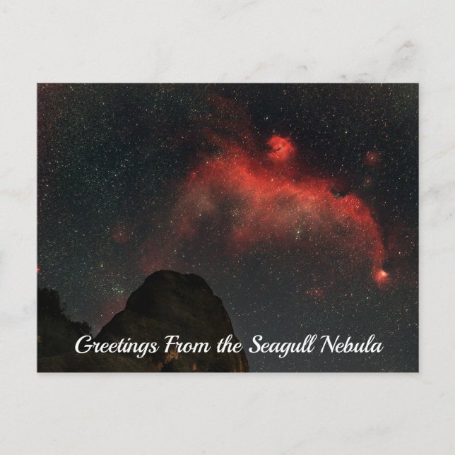 Cartão Postal Seagull Nebula Postcard (Frente)