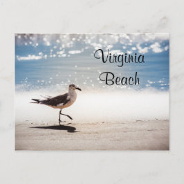 Cartão Postal Seagull Walking na Virgínia Beach