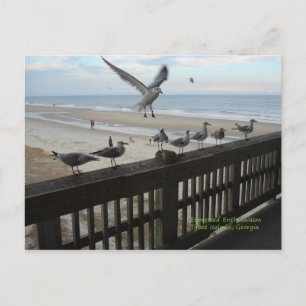 Cartão Postal Seagulls