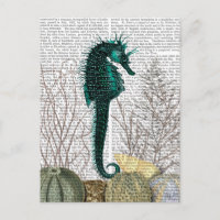 SeaHorse e Sea Urchins 2