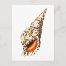 CARTÃO POSTAL SEALIFE "SEATRUMPET"