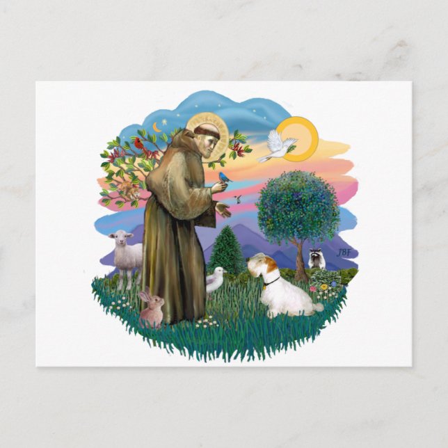 Cartão Postal Sealyham Terrier (Frente)