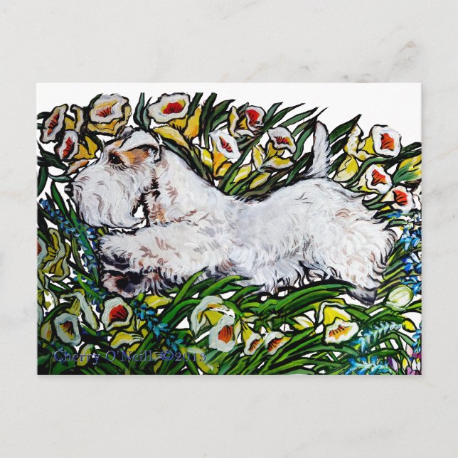 Cartão Postal Sealyham Terrier Daffodils (Frente)