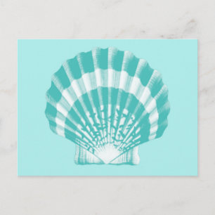 Cartão Postal Seashell - aqua mole e branco