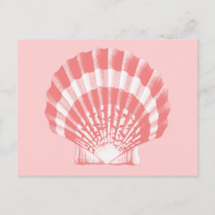 Cartão Postal Seashell - coral rosa e branco