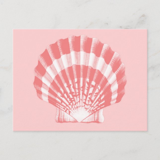 Cartão Postal Seashell - coral rosa e branco (Frente)