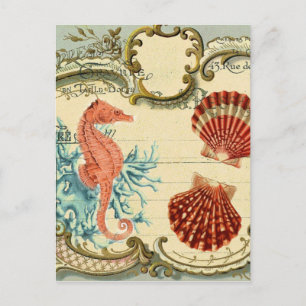 Cartão Postal seashell seacavalo francês moderno e florescente