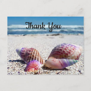 Cartão Postal Seashells Sandy Beach Ocean Obrigado Cartão-Postal