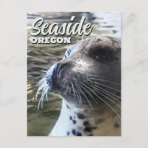 Cartão Postal Seaside, Oregon Baby Seal Sealion