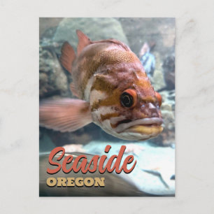 Cartão Postal Seaside, Oregon Rockfish