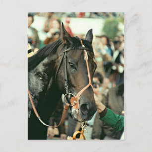 Cartão Postal Seattle Slew Thorogenie 1978