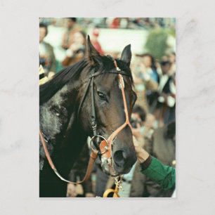 Cartão Postal Seattle Slew Thorogenie 1978