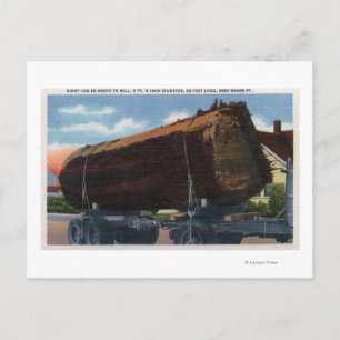 Cartão Postal Seattle, Washington Giant Log em direção a Mill