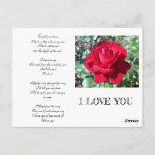 CARTÃO POSTAL SECRET ADMIRER