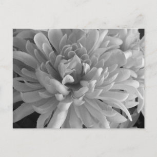 Cartão Postal Segredo de Mãe