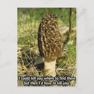 Cartão Postal Segredo do Morel Hunter