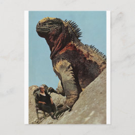 Cartão Postal Segure firme -