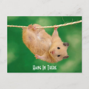 Cartão Postal Segure-Se Lá No Hamster