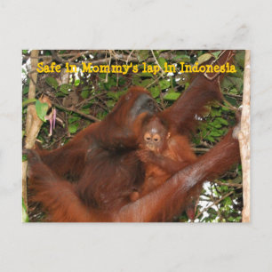 Cartão Postal Seguro na Mamãe Lap