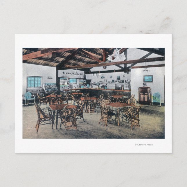 Cartão Postal Seigler Hot Primavera Store, Escritório Poste (Frente)