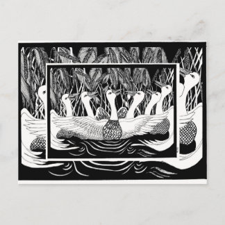 Cartão Postal Seis gansos, seis gansos