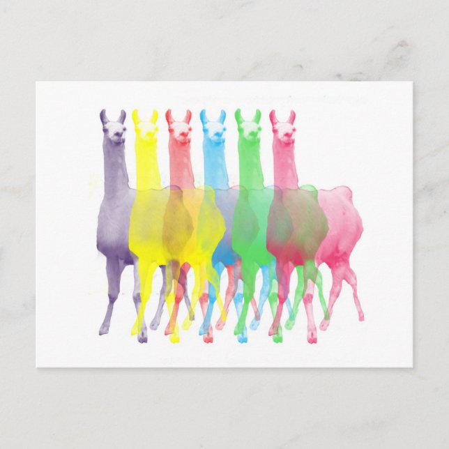 Cartão Postal seis Lamas em seis cores do lama (Frente)