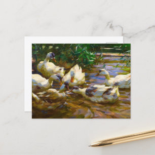 Cartão Postal Seis patos em água azul-vermelha por Alexander Koe