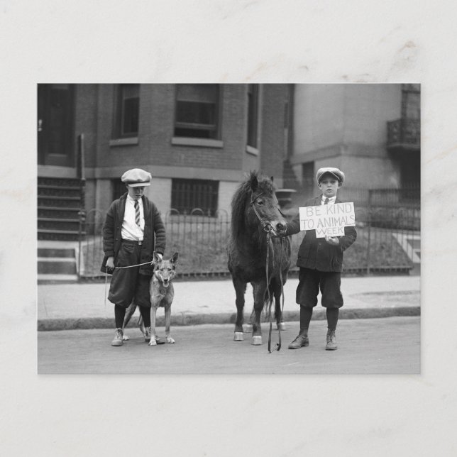 Cartão Postal Seja gentil com a Semana dos Animais, 1923 (Frente)