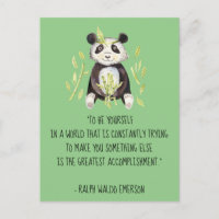 Seja você Emerson Cite com Boho Panda