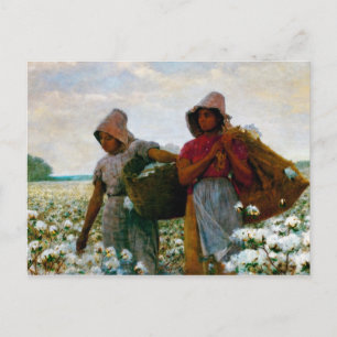 Cartão Postal Seletor de Algodão