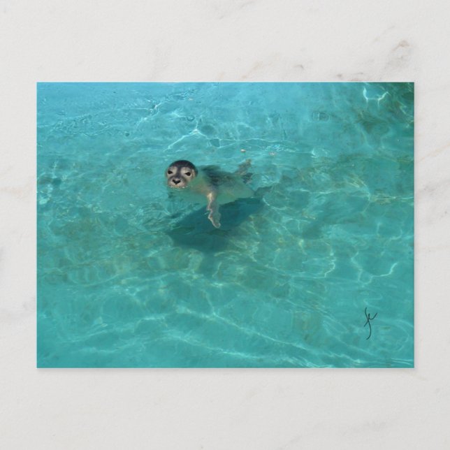 Cartão Postal Selo de bebê (Frente)