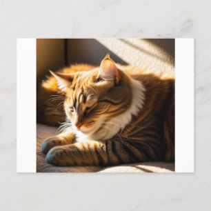 Cartão Postal selos de natal de gatos 2025