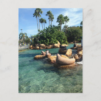 Cartão Postal Selos e Leões do Mar