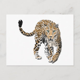 Cartão Postal selva de leopardo-d-água pintada de verde-animal