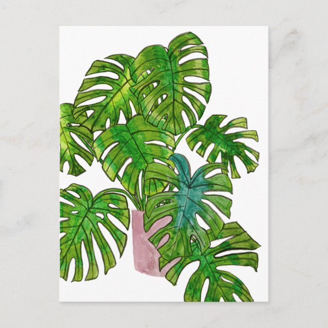 Cartão Postal Selva Potente I (Frente)