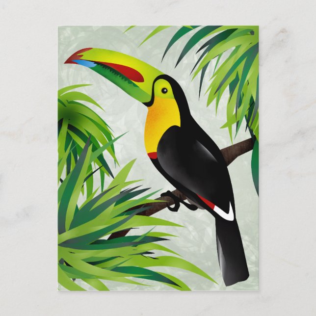 Cartão Postal Selva Toucan (Frente)