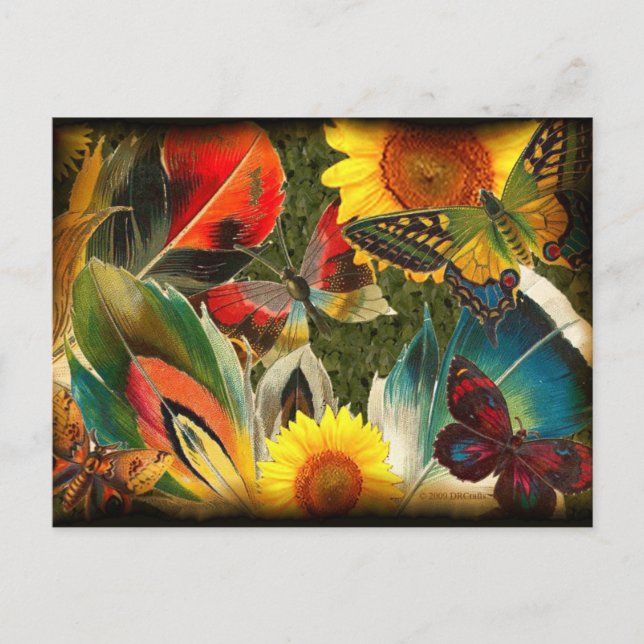 Cartão Postal Selvagem com borda (Frente)